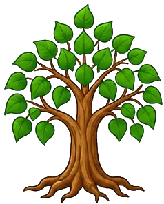 Bodhi Tree