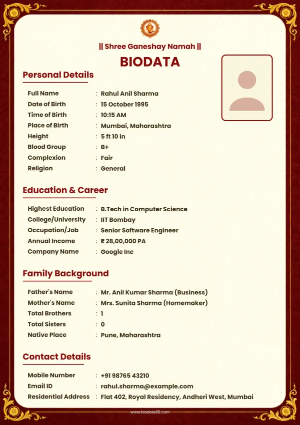 Matrimonial biodata format Elegant maroon